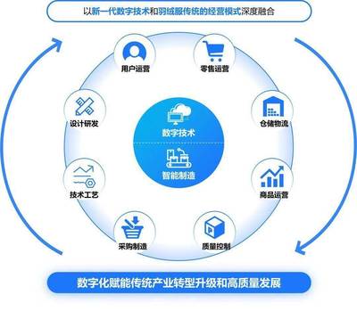 构建高效、可持续的数字生态系统 标杆项目实施办法与数字技术服务路径